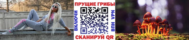 Галлюциногенные грибы Psilocybine cubensis  где купить   Надым 